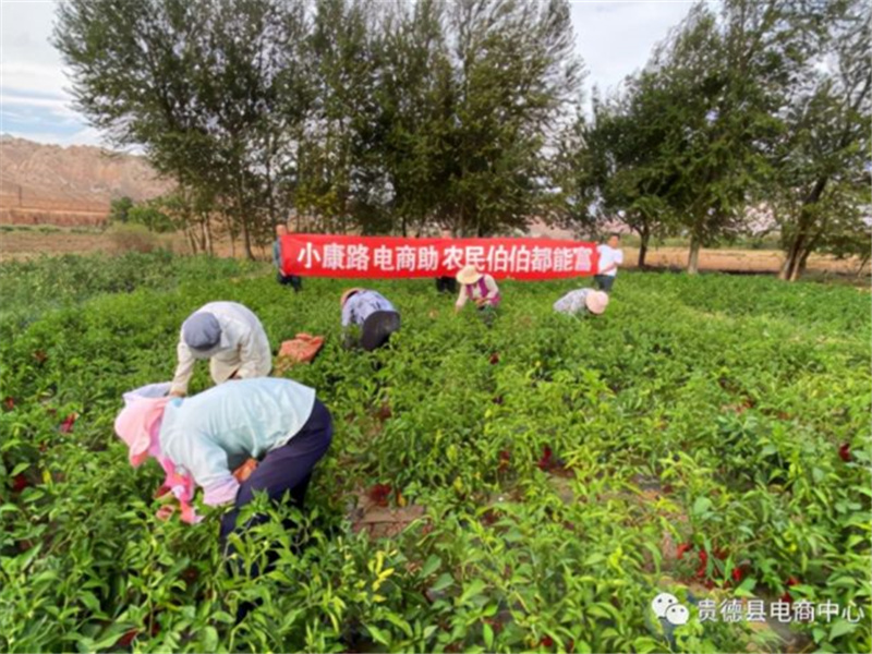 <b>青海省贵德县探索互联网+农牧产业发展新模式</b>